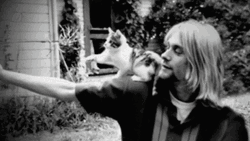 Kurt Cobain Cat Play GIF