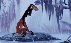 Kuzcoo Crying In Rain