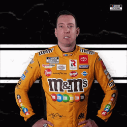 Kyle Busch Celebratory Fist Raise GIF