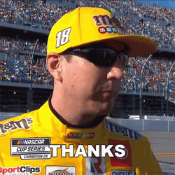 Kyle Busch Thanks GIF