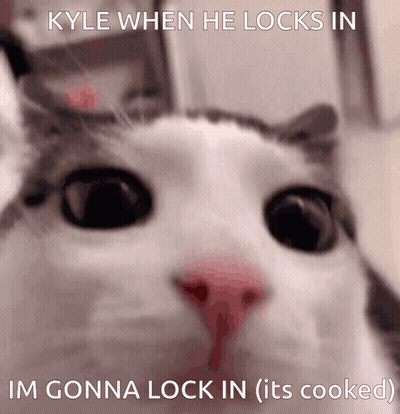 Kyle Cat Saying It's Cooked GIF