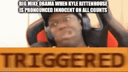 Kyle Rittenhouse Pronounced Innocent Meme GIF