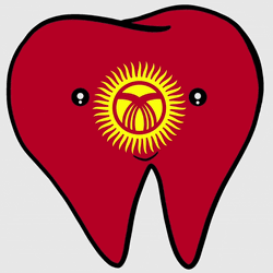 Kyrgyzstan Flag Tooth GIF