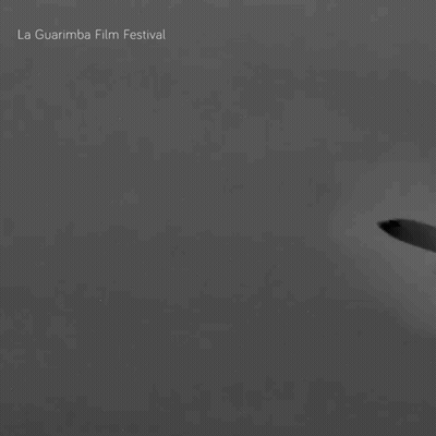 La Guarimba Film Festival Plane GIF