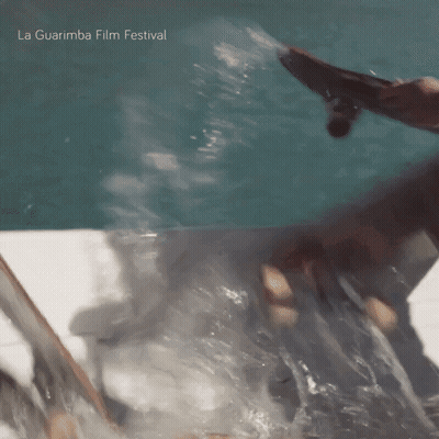 La Guarimba Film Festival Poster Swimming Person GIF
