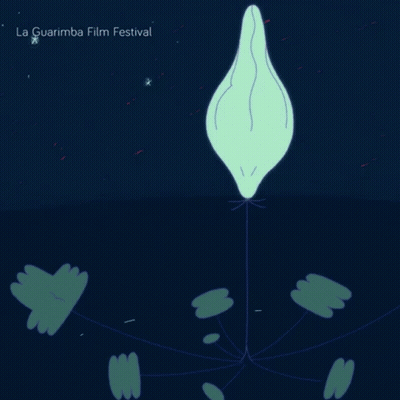 La Guarimba Film Festival Poster With Flower GIF