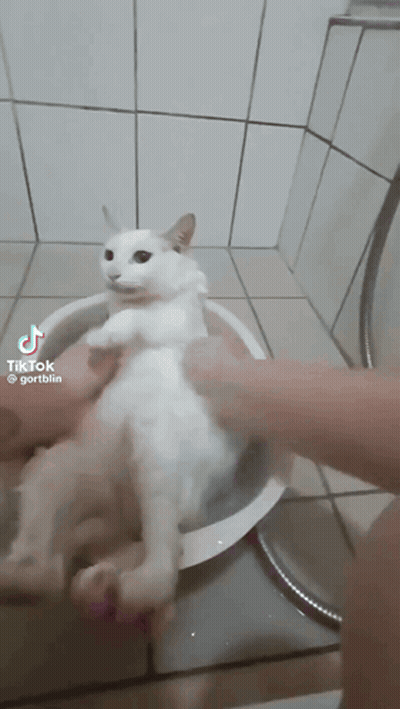 La Guarimba Film Festival GIF