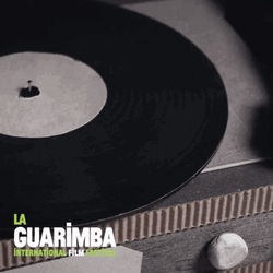 La Guarimba International Film Festival Broken Record GIF