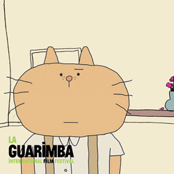 La Guarimba Sad Cat Bowing Down  GIF