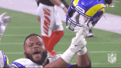 La Rams Aaron Donald GIF