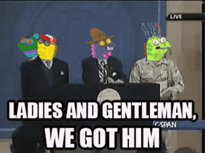 Ladies And Gentleman We Got Him On TV GIF