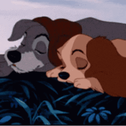 Lady And The Tramp GIF