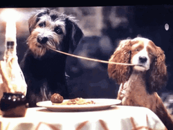 Lady And The Tramp Live Noodle Scene GIF