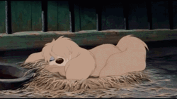 Lady And The Tramp Peg Sleeping GIF