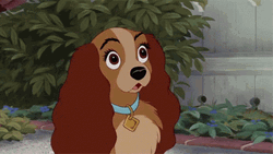 Lady And The Tramp Shocked GIF