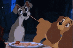 Lady And The Tramp Spaghetti Scene GIF