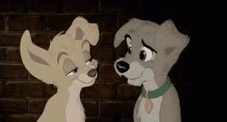 Lady And The Tramp Waggling Tails GIF