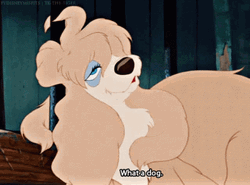 Lady And The Tramp What A Dog GIF