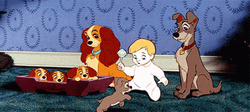 Lady And The Tramp With Babies GIF