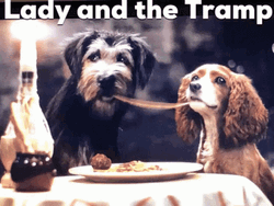Lady And The Tramp GIF