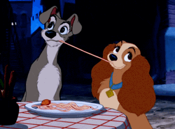 Lady And Tramp Eating Pasta GIF