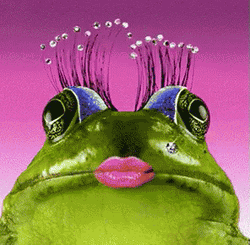 Lady Frog Kisses