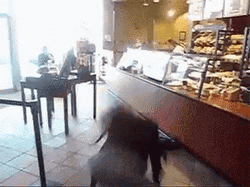 Lady Going Wild In Coffee Shop GIF