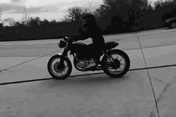 Lady Hog Rider On The Road GIF