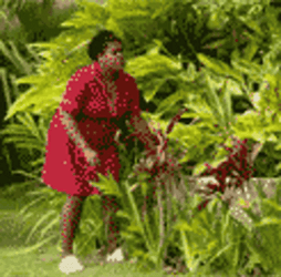 Lady Scared And Trying To Hide GIF