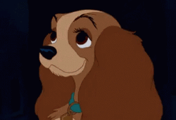 Lady Sparkling Eyes And The Tramp GIF