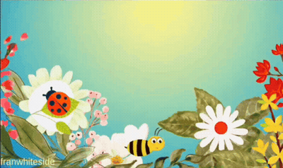 Ladybug And Bee Surrounded By Flowers With Franwhiteside GIF