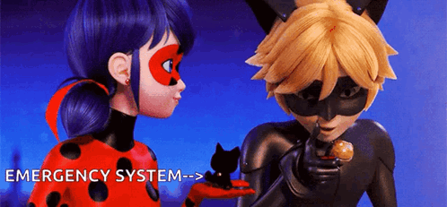 Ladybug And Chat Noir From Miraculous Ladybug Are Standing Next To Each Other And Looking At Each Other . GIF