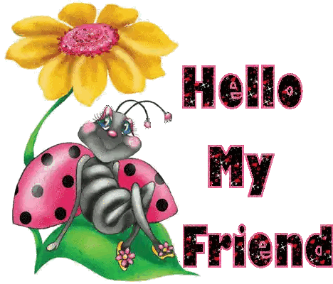 Ladybug On Leaf Hello Friend Sticker