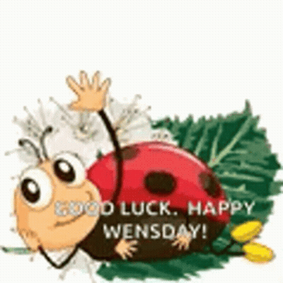Ladybug Waving Good Luck Happy Wednesday GIF
