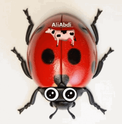 Ladybug Wobbly Eyes On Wings GIF