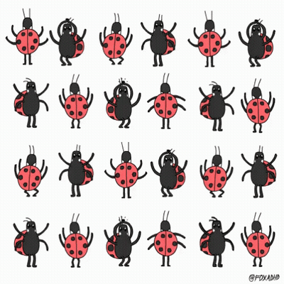 Ladybugs And Spiders Dancing GIF