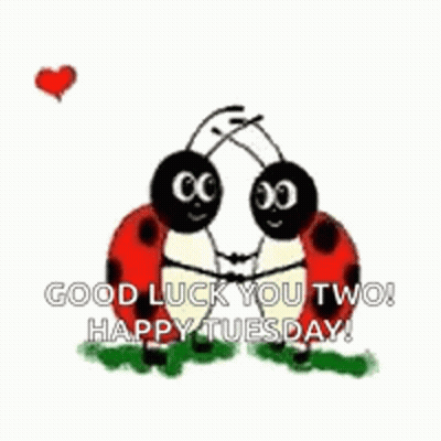 Ladybugs Hugging Hearts Good Luck You Two Happy Tuesday GIF