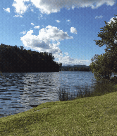 Lago rodeado de árboles y pasto en día nublado GIF