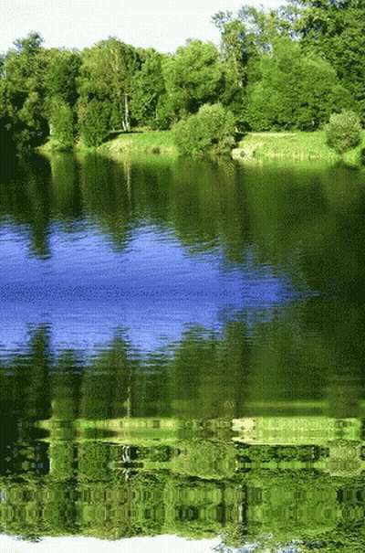 Lake Surrounded By Trees GIF