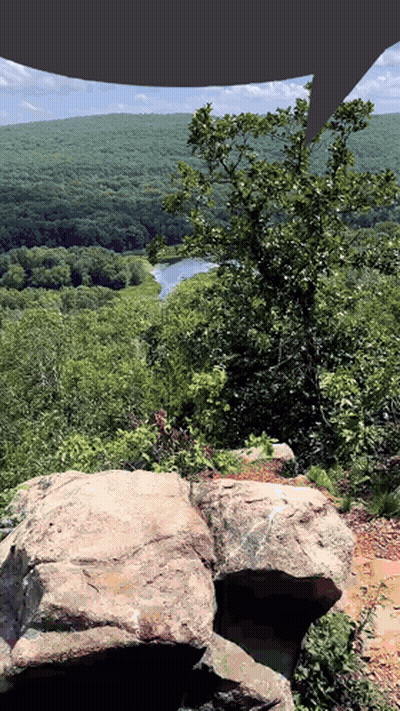 Lake Surrounded By Trees From A Rock GIF