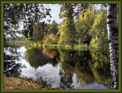 Lake Surrounded By Trees With Leaves On Ground GIF