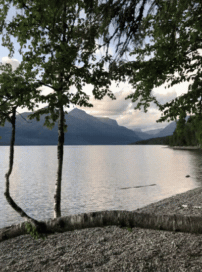 Lake With Mountains And Trees GIF