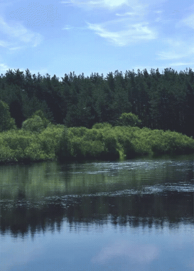 Lake With Trees And Blue Sky GIF