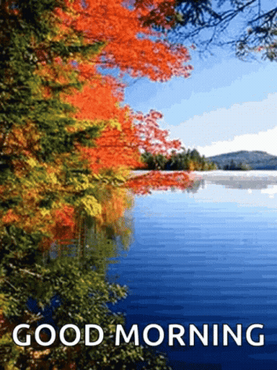 Lake With Trees Saying Good Morning GIF