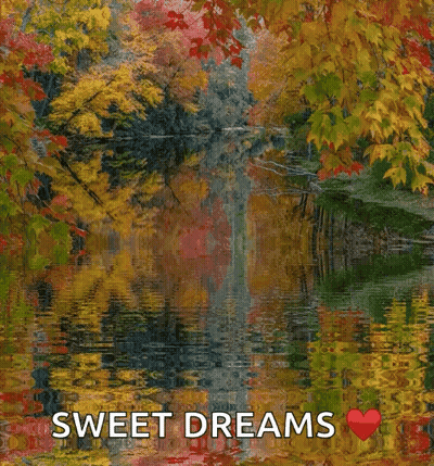 Lake With Trees Saying Sweet Dreams GIF
