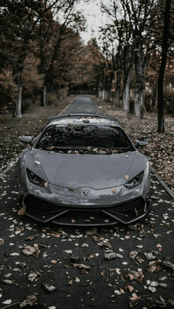 Lamborghini Asthetic Meme GIF