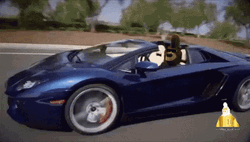 Lamborghini  Party Bear Driving GIF