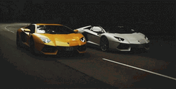 Lamborghini GIFs 