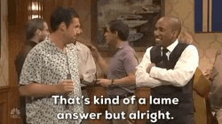 Lame Answer Adam Sandler Reunion GIF