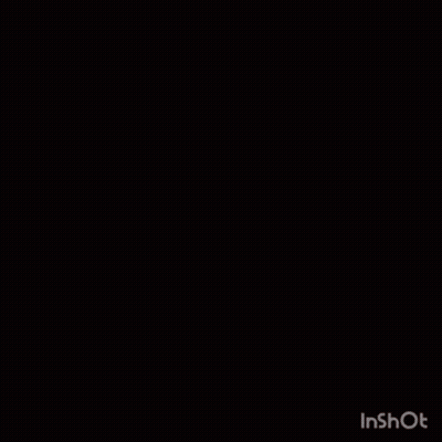 LaMelo Ball American Basketball Player GIF